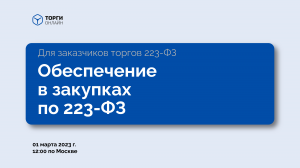 Что такое обеспечение в закупках по 223-ФЗ