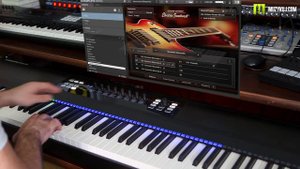 NI SESSION GUITARIST – ELECTRIC SUNBURST demo by muzykuj.com