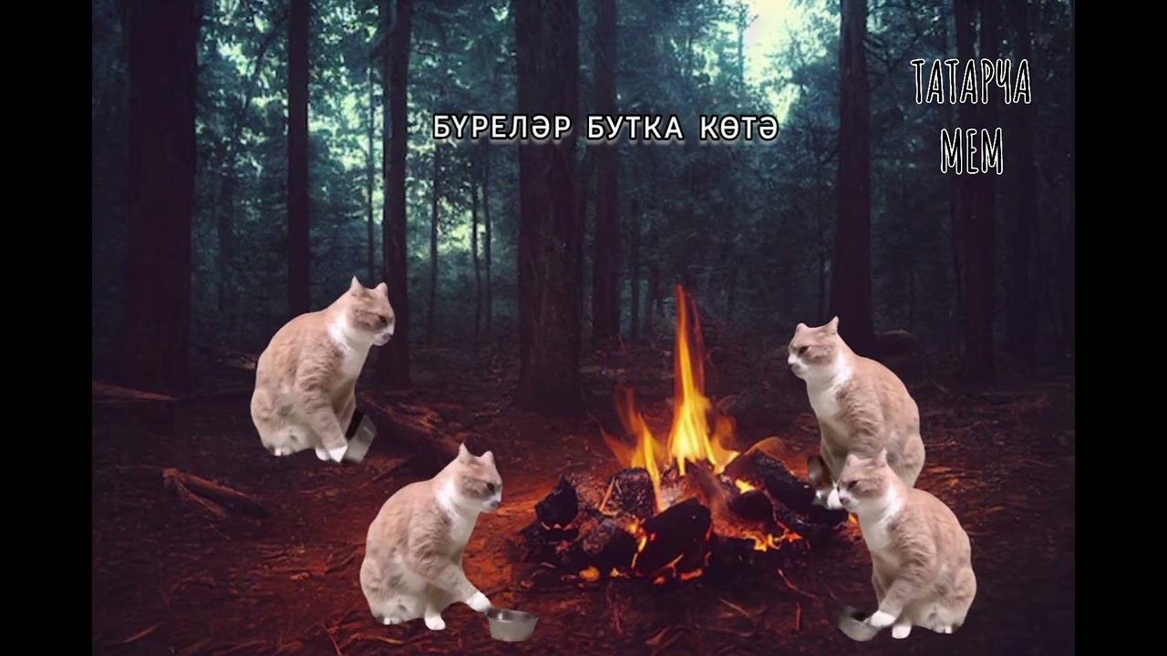 Габдулла Тукайның "Кәҗә белән Сарык" әкиятен  мемнар белән сөйләү #татары #татарстан #татарскийязык