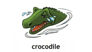 How to Pronounce Crocodile in British English
