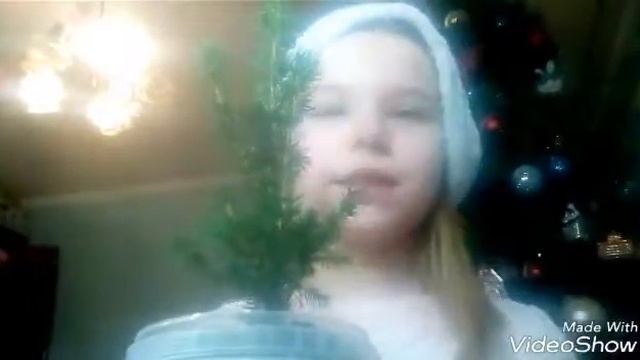 У нас появился новый дружок/ Как ухаживать за живой елью смотреть онлайн