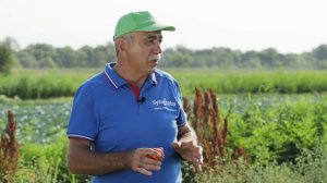 МАМАКО F1 | Овощная усадьба