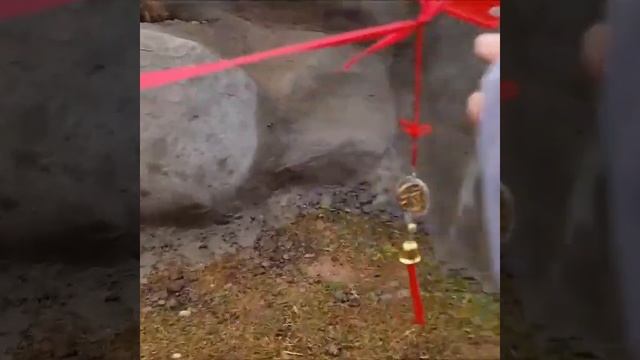 Торжественное открытие пещеры Бодхидхармы на Территории Дзэн. смотреть онлайн