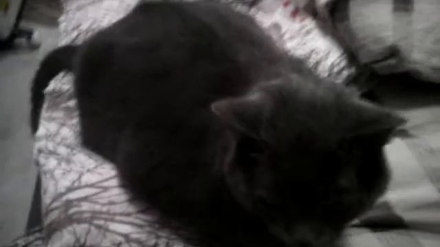 НОЧНОЙ БАТУМИ!LIVE\\\! смотреть онлайн