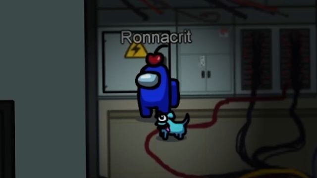 สุดท้ายหวยจะลงที่ POP ไหน - Among Us (Unknown#1) ไม่มีเบื่อเกือบ 30 นาที смотреть онлайн