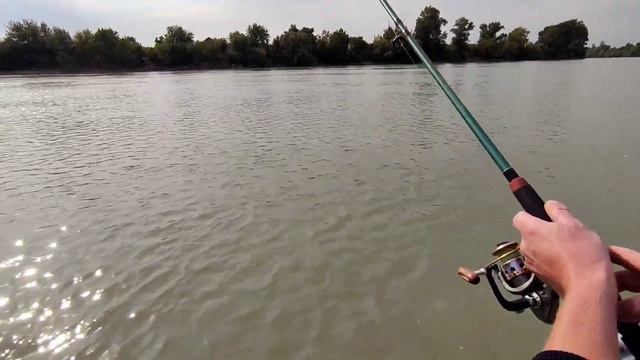 Лещ на комбикорм и сало. Рыбалка на Кубани. смотреть онлайн