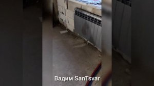 Перенос вводного коллектора  замена на радиаторы Royal Thermo Silver Satin сшитым полиэтиленом