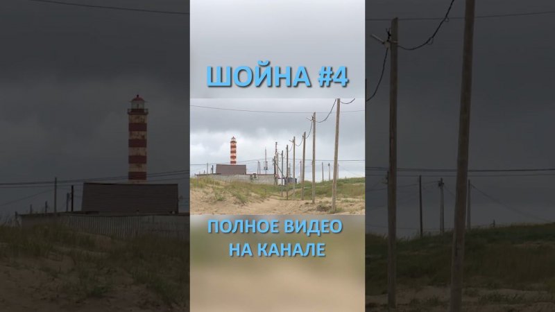 ШОЙНА 44