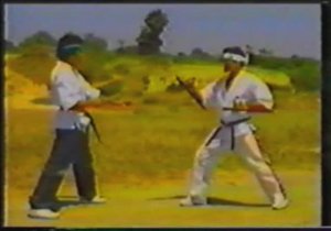 Окинавское кобудо - техника с тонфа