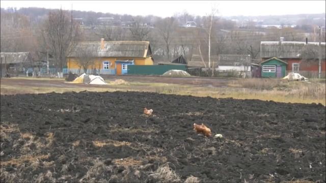 Село Новосильское