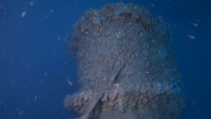 СПУСК НА НЕМЕЦКУЮ СУБМАРИНУ U-455, ПОГИБШУЮ СО ВСЕМ ЭКИПАЖЕМ !!!