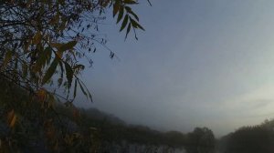 Охота на утку в Ивановской области 30.09.2023г.