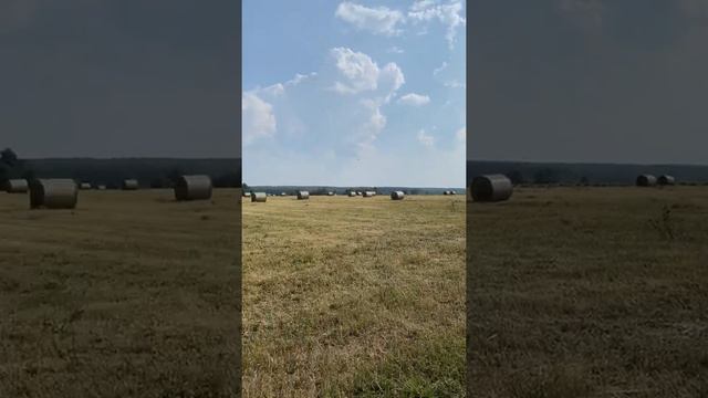 Под Коломной монет нет одна глина смотреть онлайн