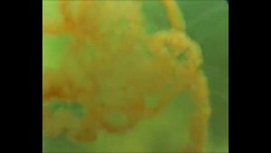 Тип кишечнополостные