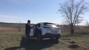 Паршивая овца - Lexus UX 200