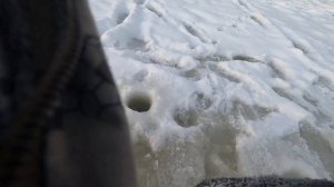 Окунь на жука-балду