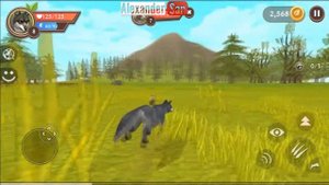 СИМУЛЯТОР ВОЛКА ОНЛАЙН Семья волка и волчата - Симулятор маленького питомца | мультик про животных