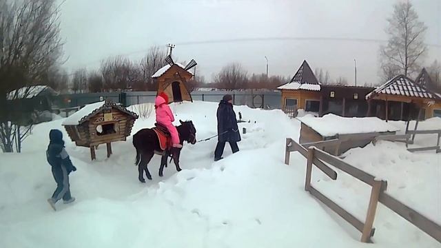 А пони довезет за полчаса. Алиса катается на ослике. Детские песенки - песенка про пони