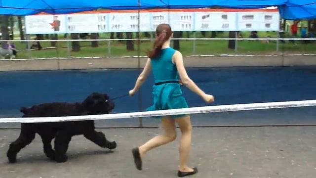 Суки промежуток. Эгида и Гетера смотреть онлайн