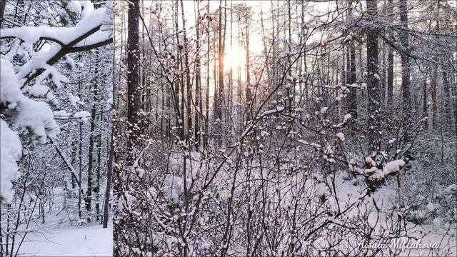 Зимнее солнце. Последний день января.