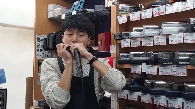 【新商品】 SUZUKI S-48B バスクロマチックハーモニカ デモ演奏 「白鳥」 смотреть онлайн