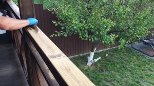ЧЕМ ЛУЧШЕ ПОКРЫТЬ ДЕРЕВО