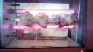 шашлык в электрошашлычнице