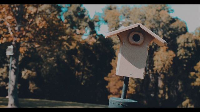 Идеальное утро / Медитация смотреть онлайн