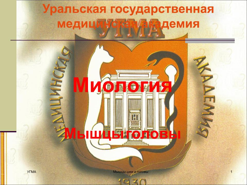 Мышцы головы