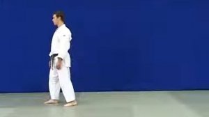 (Шинтай) Shintai - передвижение