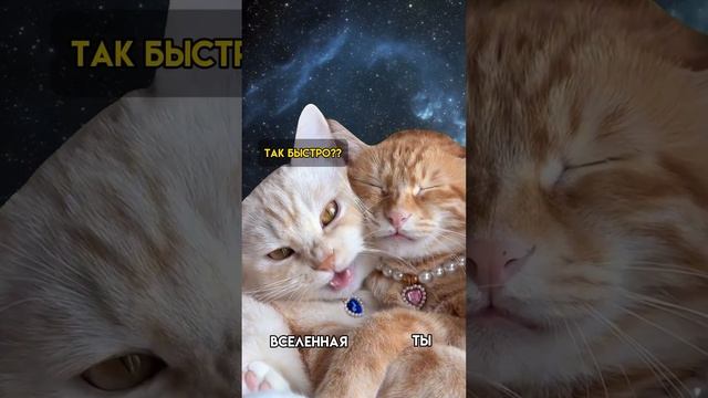 Практика в комментариях ⬇️ смотреть онлайн