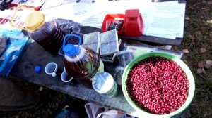 «Брусника Фест»