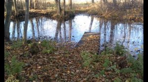Нижегородская область, Борский район, д. Шубино
