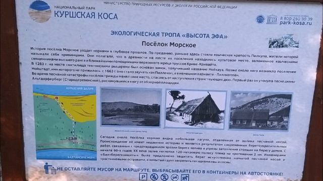 Куршская Коса или миниатюра нескольких миров. Неповторимое великолепие высоты ЭФА. смотреть онлайн