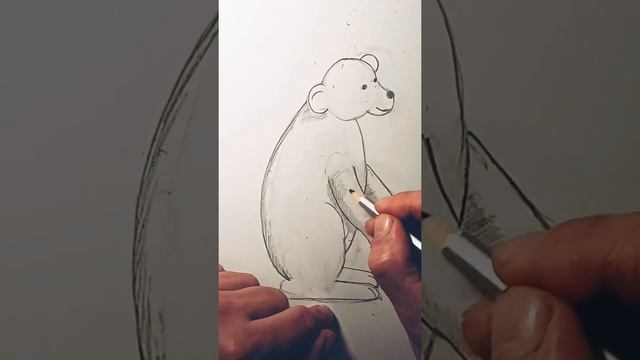 Белый полярный медведь смотреть онлайн