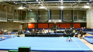 Kieran Behan (IRL) FX Finals Northern Europeans 2015