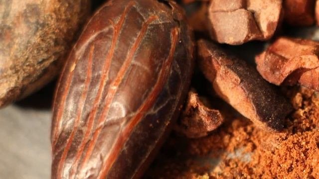 Малоизвестные и Интересные Факты о Шоколаде | Стоит Знать Каждому
