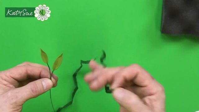 Wedding Foliage With Flower Pro Part 2 | English Boxwood, Italian Ruscus & Dusty Miller смотреть онлайн