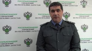 Сведения о партиях продуктов переработки зерна теперь нужно обязательно вводить в систему «Зерно»