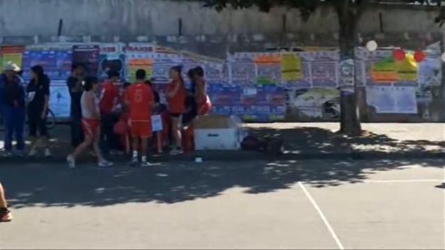 Il Pappagallo News Domenica di Sport a Palma Campania смотреть онлайн