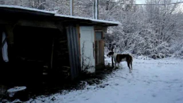 Пенино части 1 и 2 смотреть онлайн