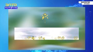 10-класс | Биология | Основы селекции. Основные методы селекции. Селекция растений