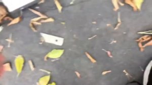 DVD BBK Починился