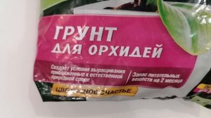 ДЕКАБРИСТ размножение сегментами Шлюмбергера кактус Schlumbergera