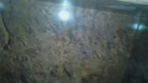 Inquisitor Ghost Live Video | inquisitor ghost tiktok live | inquisitor ghost last video