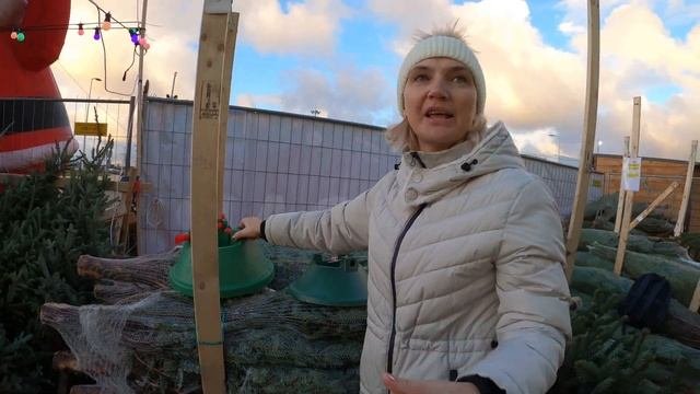 НОВОГОДНИЕ ХЛОПОТЫ. КАЛИНИНГРАД
