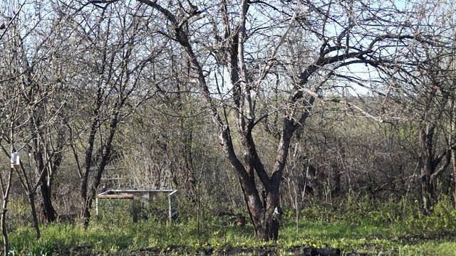 весна 2014 8 мая ДАЧА смотреть онлайн