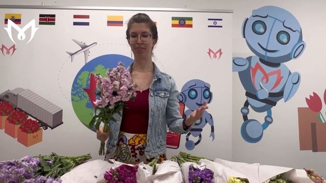 ОБЗОР-РАСПАКОВКА: маттиола из Эквадора