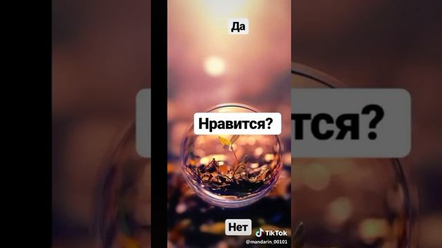 Опрос  про соседа  по  парте?