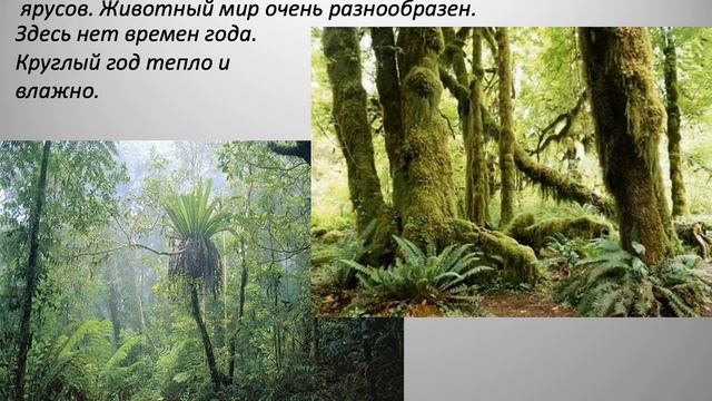 География – 6, 08.04.2020 смотреть онлайн